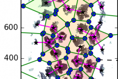 Voronoi tessellation and Delaunay neighbours in a dense crowd at Eindhoven station