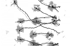 Sequence of depth frames with pedestrian trajectories at Eindhoven station, medium density
